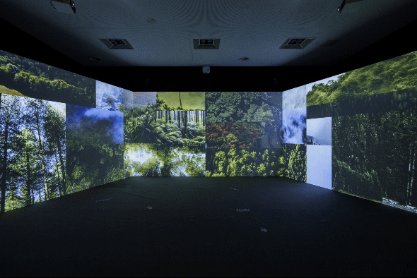 Panoramic cinema with forest and landscape footage on three large-format projection walls