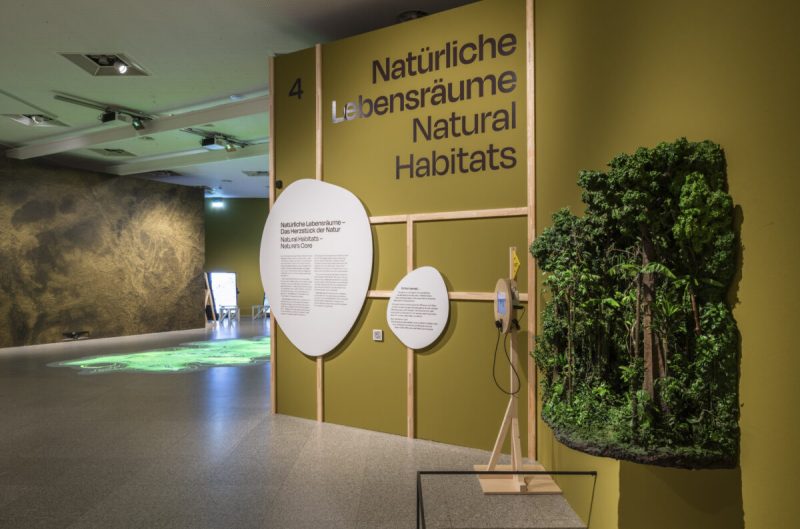 “Natural Habitats” section with a plant relief on the wall, a mini display and a floor projection behind