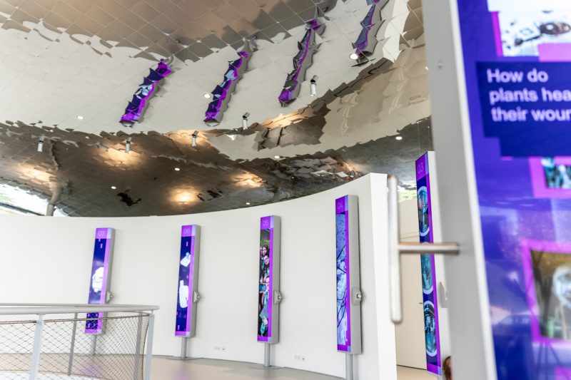 Foyer with a mirrored ceiling and purple-lit display pillars of the “ISTA At A Glance” installation